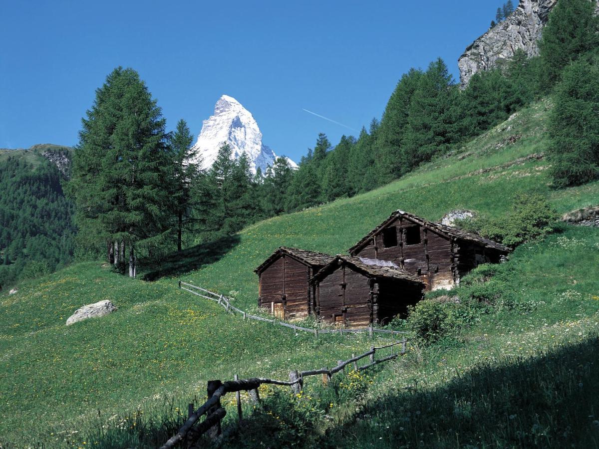 Apartment Zen Stecken A By Interhome Zermatt Exteriér fotografie