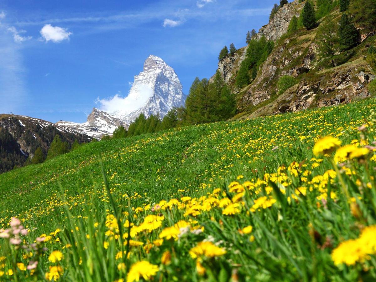 Apartment Zen Stecken A By Interhome Zermatt Exteriér fotografie